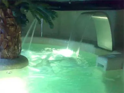 Piscina iluminada con palmera